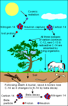 ATHEIST HAVEN: Why Carbon Dating Works