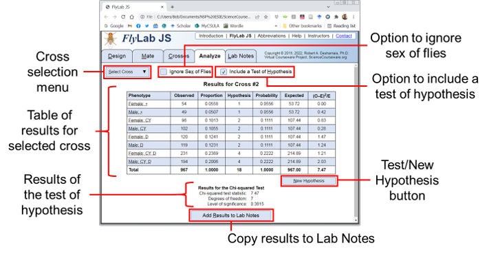 Screen image of the Analyze View