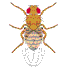 Logo image of a small fruit fly Logo image of a small fruit fly