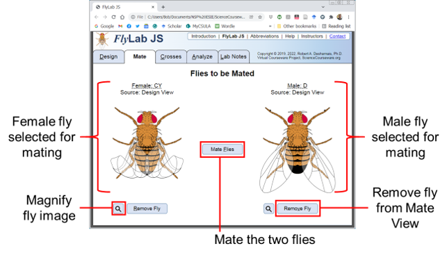 Screen image of the Mate View